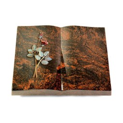 Grabbuch Livre/Aruba Rose 5 (Color)