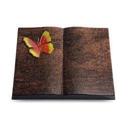 Grabbuch Livre/Englisch-Teak Papillon 2 (Color)