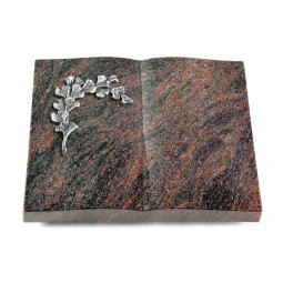 Grabbuch Livre/Himalaya Gingozweig 2 (Alu)