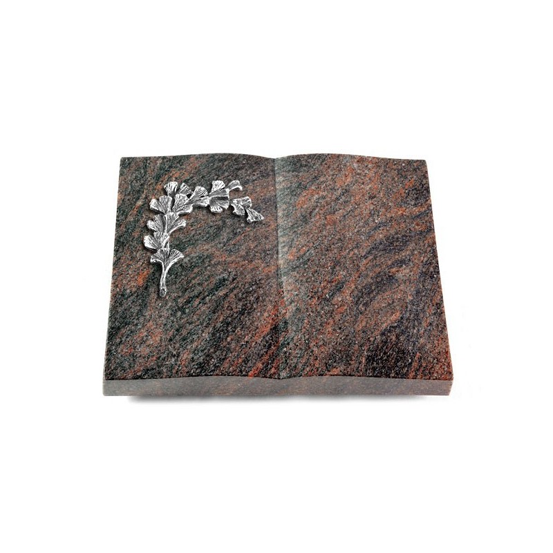 Grabbuch Livre/Himalaya Gingozweig 2 (Alu)