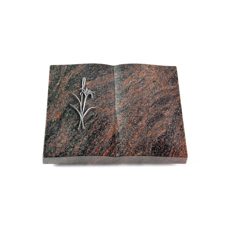 Grabbuch Livre/Himalaya Lilienzweig (Alu)