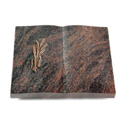 Grabbuch Livre/Himalaya Ähren 1 (Bronze)