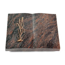 Grabbuch Livre/Himalaya Ähren 2 (Bronze)