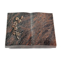 Grabbuch Livre/Himalaya Efeu (Bronze)