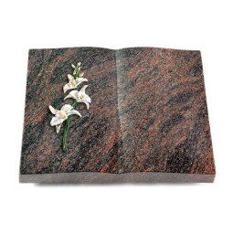 Grabbuch Livre/Himalaya Orchidee (Color)