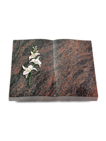 Grabbuch Livre/Himalaya Orchidee (Color)