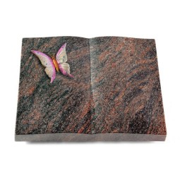 Grabbuch Livre/Himalaya Papillon 1 (Color)