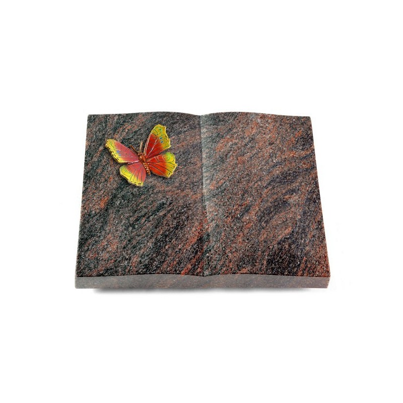 Grabbuch Livre/Himalaya Papillon 2 (Color)