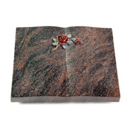 Grabbuch Livre/Himalaya Rose 1 (Color)