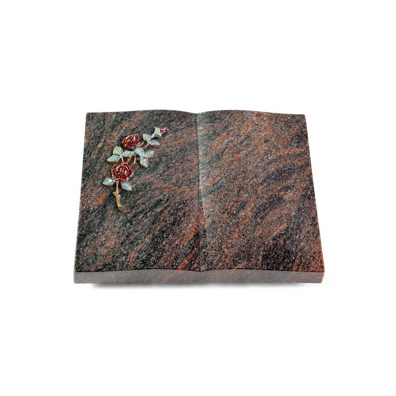 Grabbuch Livre/Himalaya Rose 3 (Color)