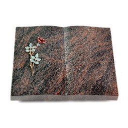 Grabbuch Livre/Himalaya Rose 4 (Color)