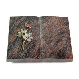 Grabbuch Livre/Himalaya Rose 5 (Color)