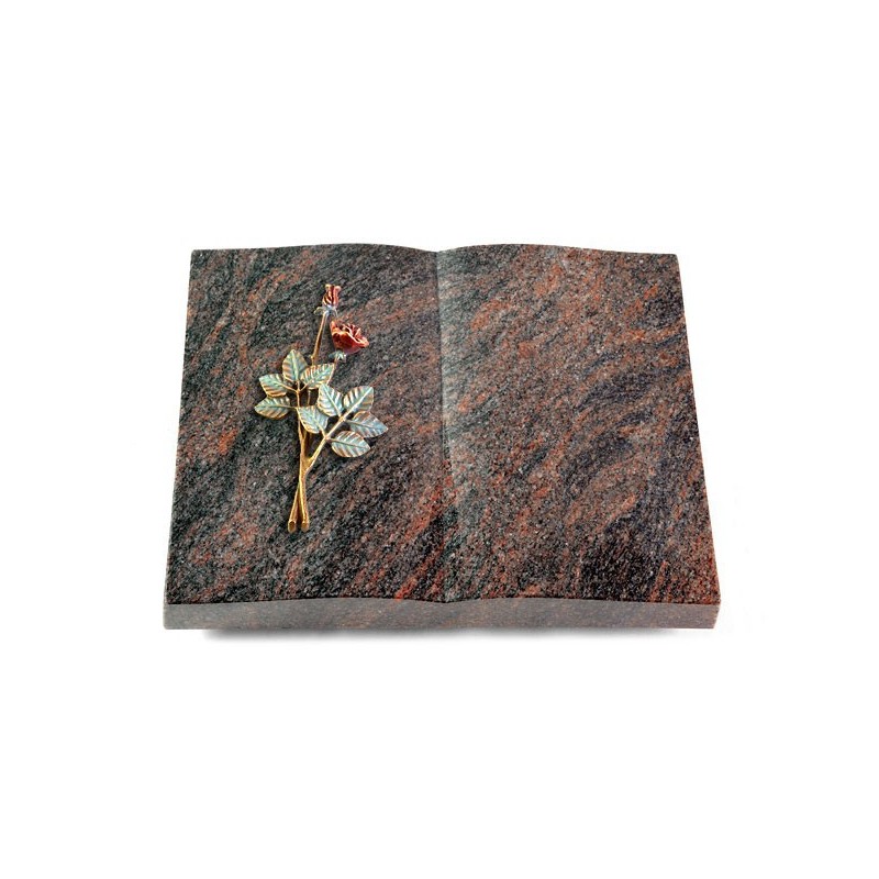 Grabbuch Livre/Himalaya Rose 5 (Color)