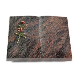 Grabbuch Livre/Himalaya Rose 6 (Color)