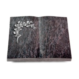 Grabbuch Livre/Orion Gingozweig 2 (Alu)