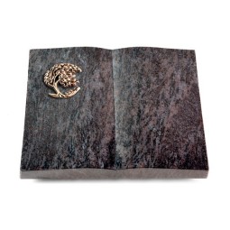 Grabbuch Livre/Orion Baum 1 (Bronze)