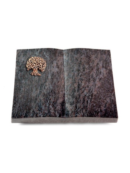 Grabbuch Livre/Orion Baum 3 (Bronze)
