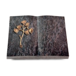 Grabbuch Livre/Orion Gingozweig 1 (Bronze)