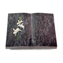 Grabbuch Livre/Orion Orchidee (Color)