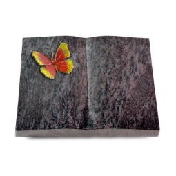 Grabbuch Livre/Orion Papillon 2 (Color)