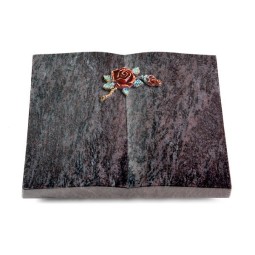 Grabbuch Livre/Orion Rose 1 (Color)