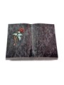 Grabbuch Livre/Orion Rose 2 (Color)
