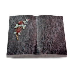 Grabbuch Livre/Orion Rose 3 (Color)