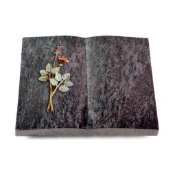 Grabbuch Livre/Orion Rose 5 (Color)