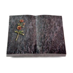 Grabbuch Livre/Orion Rose 6 (Color)