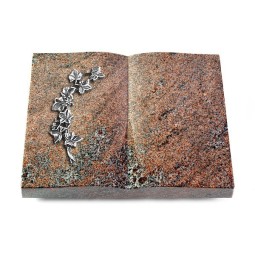 Grabbuch Livre/Paradiso Efeu (Alu)