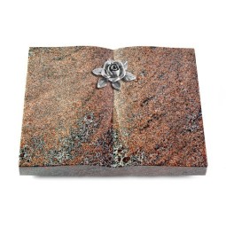 Grabbuch Livre/Paradiso Rose 4 (Alu)