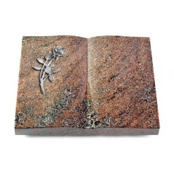 Grabbuch Livre/Paradiso Rose 6 (Alu)