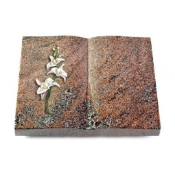 Grabbuch Livre/Paradiso Orchidee (Color)