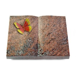 Grabbuch Livre/Paradiso Papillon 2 (Color)