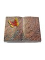 Grabbuch Livre/Paradiso Papillon 2 (Color)