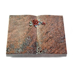 Grabbuch Livre/Paradiso Rose 1 (Color)