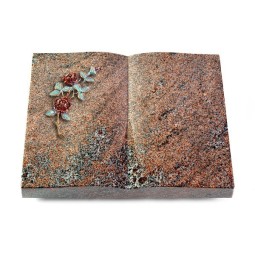 Grabbuch Livre/Paradiso Rose 3 (Color)