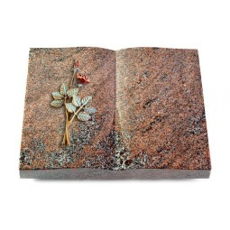 Grabbuch Livre/Paradiso Rose 5 (Color)