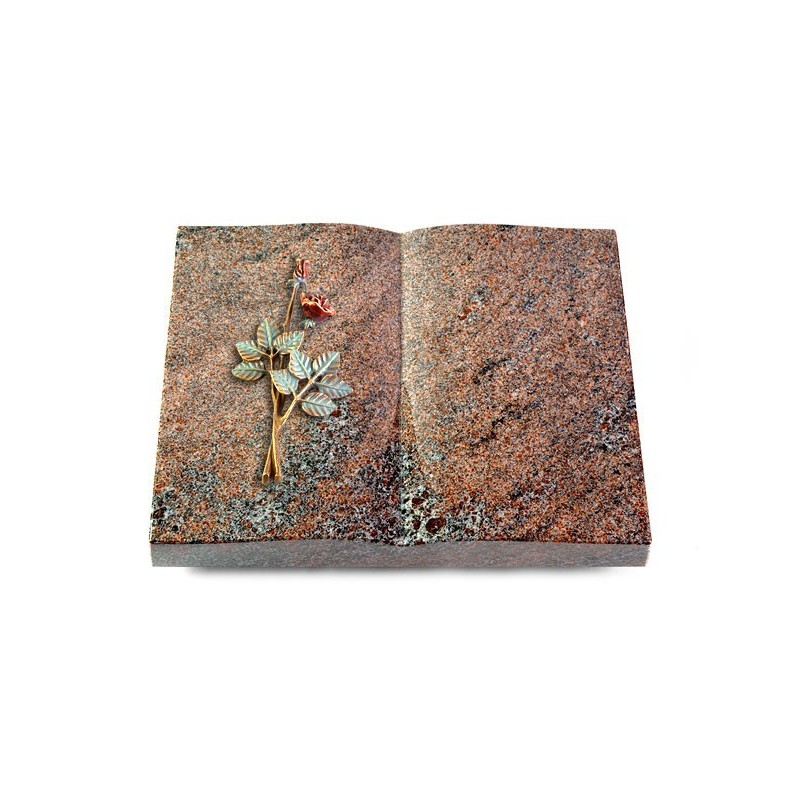 Grabbuch Livre/Paradiso Rose 5 (Color)