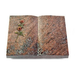 Grabbuch Livre/Paradiso Rose 6 (Color)