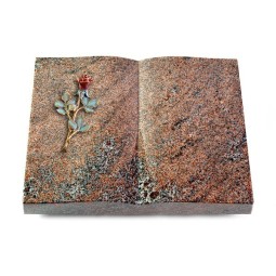 Grabbuch Livre/Paradiso Rose 7 (Color)