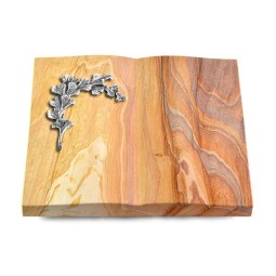 Grabbuch Livre/Rainbow Gingozweig 2 (Alu)