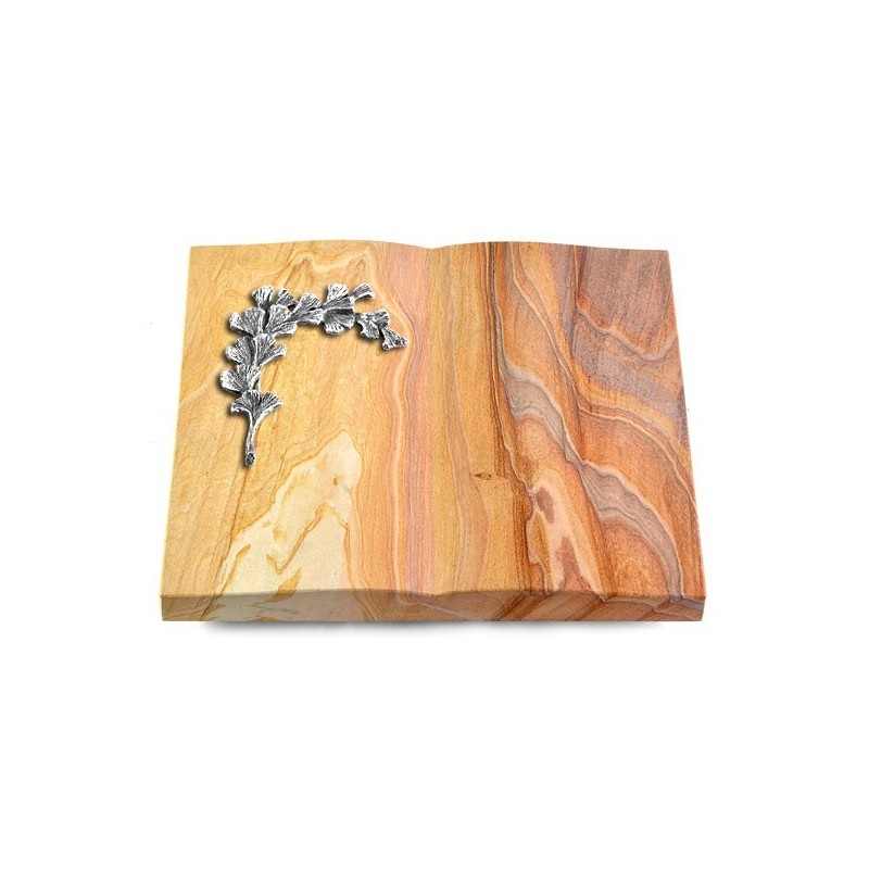 Grabbuch Livre/Rainbow Gingozweig 2 (Alu)