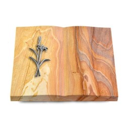 Grabbuch Livre/Rainbow Lilienzweig (Alu)