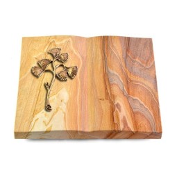 Grabbuch Livre/Rainbow Gingozweig 1 (Bronze)