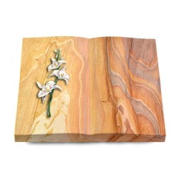 Grabbuch Livre/Rainbow Orchidee (Color)