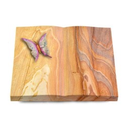 Grabbuch Livre/Rainbow Papillon 1 (Color)