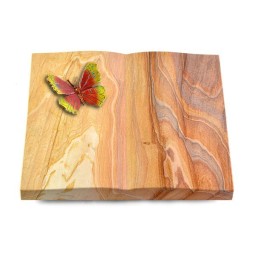 Grabbuch Livre/Rainbow Papillon 2 (Color)