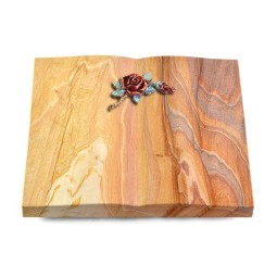 Grabbuch Livre/Rainbow Rose 1 (Color)