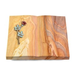 Grabbuch Livre/Rainbow Rose 4 (Color)